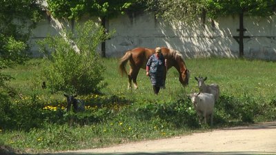 У селі на Хмельниччині люди живуть у дерев’яних будинках та без мобільного зв'язку У селі на Хмельниччині люди живуть у дерев’яних будинках та без мобільного зв'язку