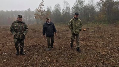 Незаконні рубки у нацпарку на Волині: що кажуть екологи і поліція
