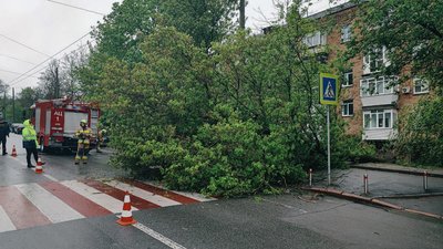 Постраждалих немає: у Києві рятувальники прибирають дерева, які впали через негоду Постраждалих немає: у Києві рятувальники прибирають дерева, які впали через негоду
