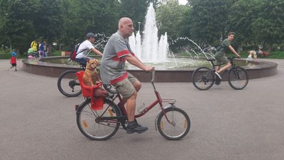 У Тернополі розпочалася акція "Щасливі домашні улюбленці"