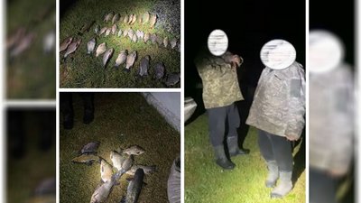 Чоловіків, які рибалили сітками під час нерестової заборони виявили на Рівненщині