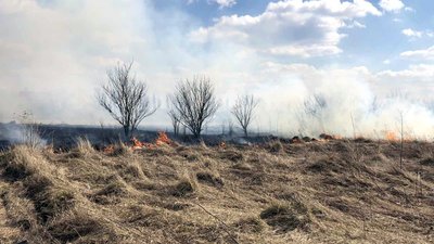 На Хмельниччині за минулу добу сталося 17 пожеж на відкритій території