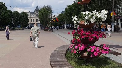 На Проскурівській висадили вертикальні клумби. На Проскурівській висадили вертикальні клумби.