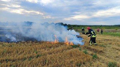 За добу на Волині горів майже гектар сухої трави: ліквідували чотири пожежі на відкритих місцевостях За добу на Волині горів майже гектар сухої трави: ліквідували чотири пожежі на відкритих місцевостях