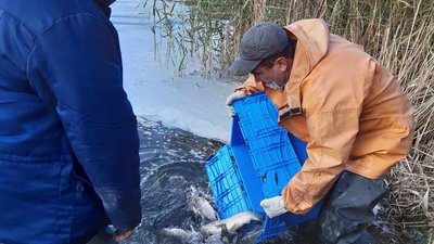 Фото: Держекоінспекція у Хмельницькій області Фото: Держекоінспекція у Хмельницькій області