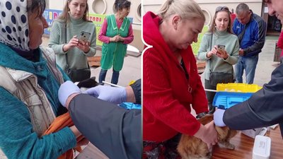 На ринку Дикого в Рівному вакцинували домашніх тварин від сказу