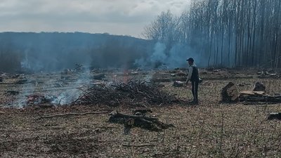 Екологія, ліс, штраф