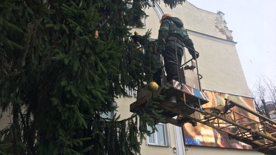 У Житомирі почали прикрашати головну новорічну ялинку У Житомирі почали прикрашати головну новорічну ялинку