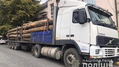 Дві вантажівки з нелегальною деревиною затримали на Закарпатті