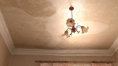 "Почала обвалюватися стеля". Жителі садиби Сковороди на Харківщині хочуть з'їхати "Почала обвалюватися стеля". Жителі садиби Сковороди на Харківщині хочуть з'їхати