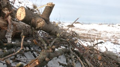 У Черкасах комунальне підприємство виробляє екологічне паливо У Черкасах комунальне підприємство виробляє екологічне паливо