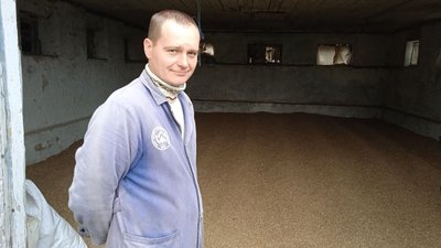 коноплі коноплі