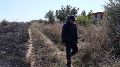 зайченя зайченя
