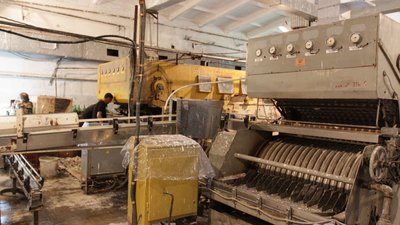 Котовський виноробний завод на Одещині планують здати в оренду