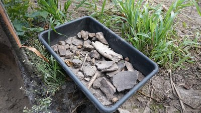 У Конотопському районі студенти-археологи розкопують давнє городище Воргол У Конотопському районі студенти-археологи розкопують давнє городище Воргол