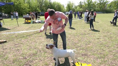 300 учасників і 70 порід. У Кропивницькому відбулася Всеукраїнська виставка собак 300 учасників і 70 порід. У Кропивницькому відбулася Всеукраїнська виставка собак