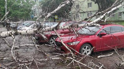 У Дніпрі продовжують ліквідувати наслідки негоди У Дніпрі продовжують ліквідувати наслідки негоди