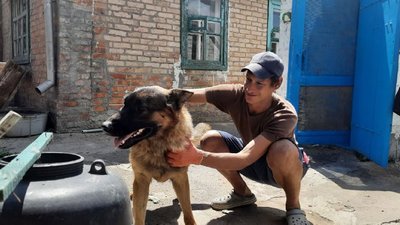“Мене врятував мій собака”. Як живе під обстрілами Нікополь на Дніпропетровщині