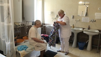 Піклуються, доглядають, допомагають