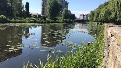Спекотно та сухо: синоптики Хмельниччини розповіли про погоду