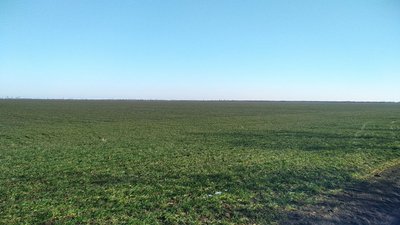 Аграрії Миколаївщини отримують підтримку від ООН Аграрії Миколаївщини отримують підтримку від ООН