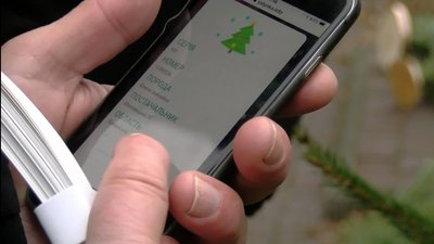 Перевірка точок продажу новорічних дерев Перевірка точок продажу новорічних дерев