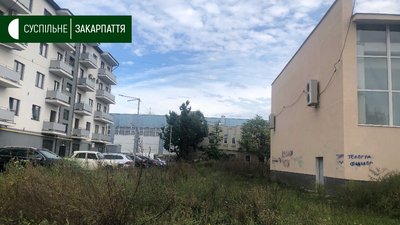 Назви телеграм-каналів із продажу наркотиків зафарбовують в Ужгороді Назви телеграм-каналів із продажу наркотиків зафарбовують в Ужгороді