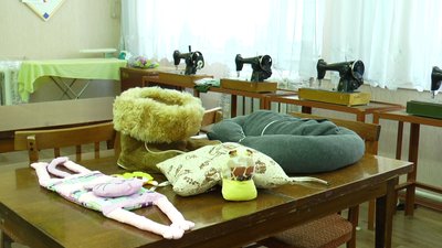 Миколаївські школярі долучилися до акції "Подарунок для пухнастиків"