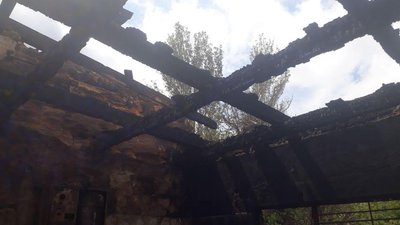 В Одесі під час пожежі в притулку для тварин врятували 40 котів та 350 собак