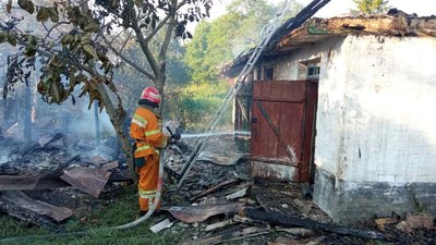 У пожежі на Черкащині врятували собаку У пожежі на Черкащині врятували собаку
