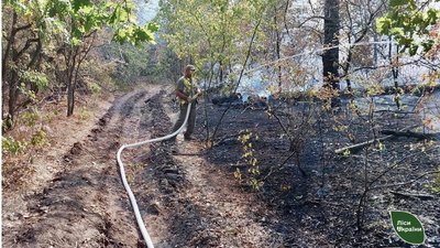 На Кіровоградщині за дві доби виникли чотири лісові пожежі через російські ракетні атаки На Кіровоградщині за дві доби виникли чотири лісові пожежі через російські ракетні атаки