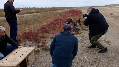 Червонокнижного птаха вилучили у вуличних фотографів та випустили у ландшафтному парку на Одещині