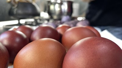 Чим безпечно фарбувати великодні яйця: поради