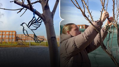 Новини Новодністровськ