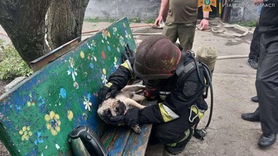 На Запоріжжі співробітники ДСНС врятували з пожежі собаку