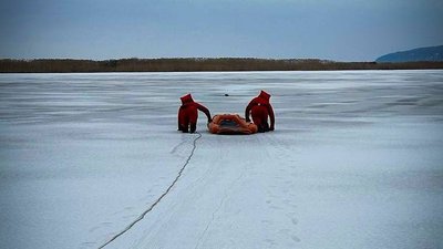 Рятувальники витягнули з річки собаку