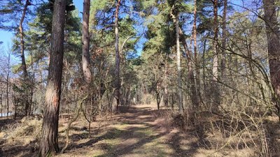 Погода у березні на Вінниччині