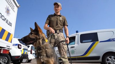 Допомагатимуть розміновувати території: до Львова з-за кордону приїхали ще 24 службових собаки