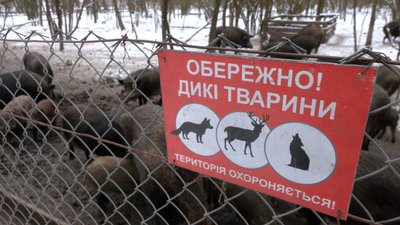 підгодівля тварин на Черкащині підгодівля тварин на Черкащині