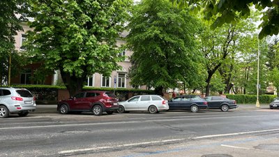 В Ужгороді діє 250 платних паркомісць: яка ціна за місце для автомобіля та де облаштують нову платну парковку В Ужгороді діє 250 платних паркомісць: яка ціна за місце для автомобіля та де облаштують нову платну парковку