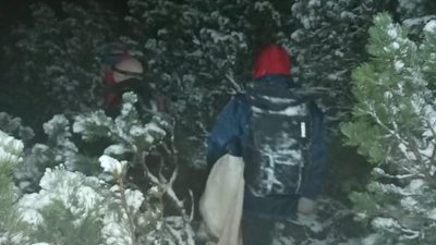 У лісі на Франківщині заблукали двоє туристів з Київщини та Харкова У лісі на Франківщині заблукали двоє туристів з Київщини та Харкова