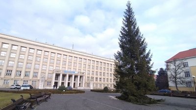 20-метрову ялинку встановили на площі Народній в Ужгороді