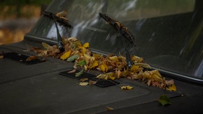 На Полтавщині 10 та 11 жовтня буде до +22 градусів