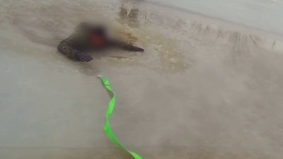 Провалився під кригу: на Вознесенщині поліція врятувала чоловіка