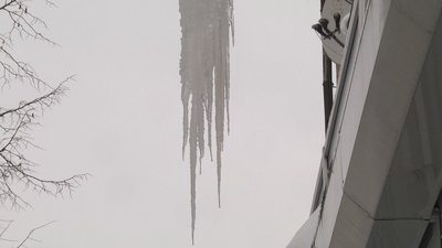 Збивати бурульки у Житомирі почнуть з настанням відлиги Збивати бурульки у Житомирі почнуть з настанням відлиги