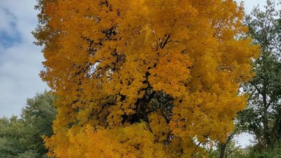 Херсонські студенти взяли участь у фотомарафоні, присвяченому рідному місту