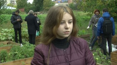 На міському городі у Луцьку висадили ягідні кущі На міському городі у Луцьку висадили ягідні кущі
