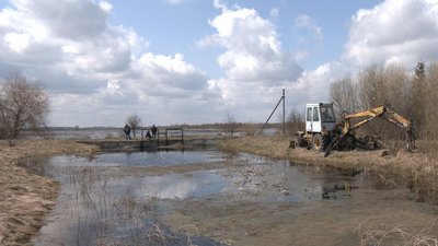 Врожай у воді: на підтоплених волинських угіддях оселилися лебеді та чаплі Врожай у воді: на підтоплених волинських угіддях оселилися лебеді та чаплі
