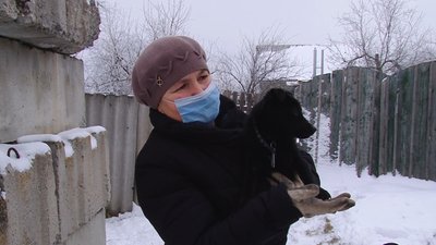 У Полтавському районі виявили сказ: два місяці щеплюватимуть домашніх тварин У Полтавському районі виявили сказ: два місяці щеплюватимуть домашніх тварин