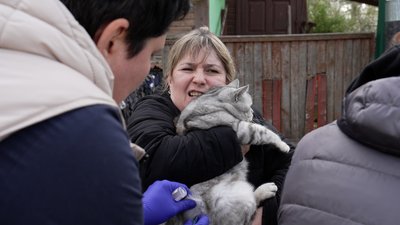 Їздять по різних районах міста і вакцинують котів та собак: як у Чернігові проводять щеплення тварин проти сказу Їздять по різних районах міста і вакцинують котів та собак: як у Чернігові проводять щеплення тварин проти сказу